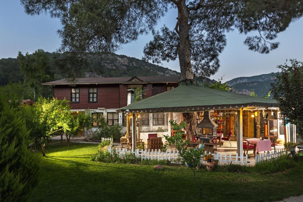 Koala Bungalows Olympos Exterior foto
