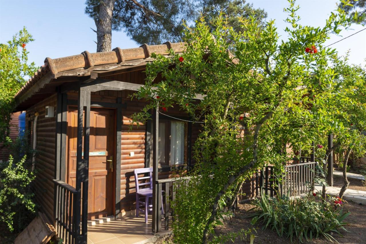 Koala Bungalows Olympos Exterior foto